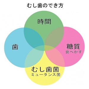 むし歯のでき方
