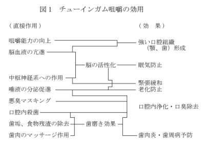 チューインガム咀嚼の効用