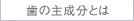 歯の主成分とは