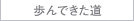 歩んできた道