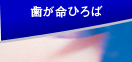 歯が命ひろば