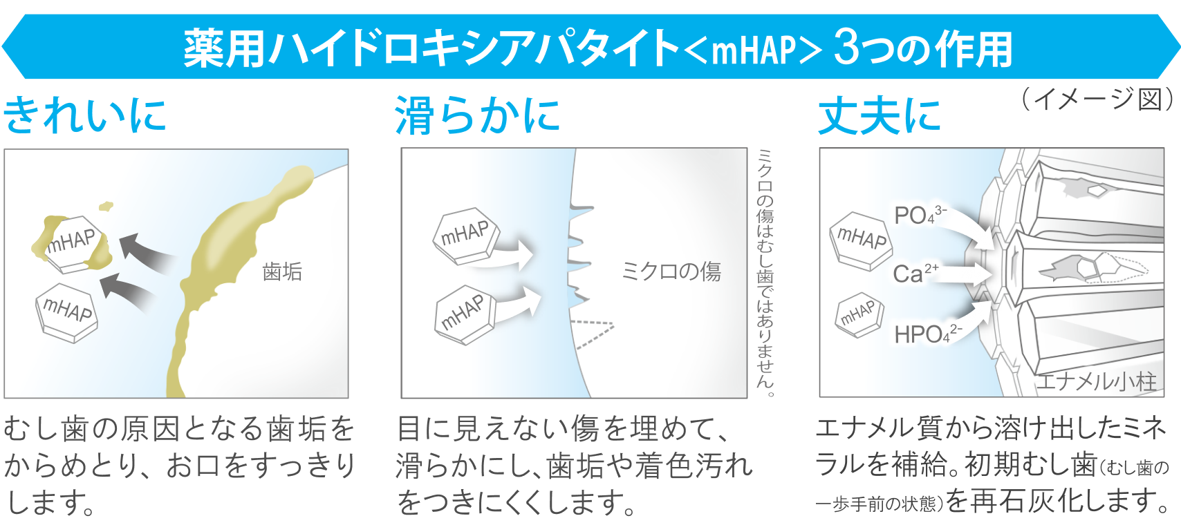 薬用ハイドロキシアパタイト＜mHAP＞3つの作用。①きれいに。むし歯の原因となる歯垢をからめとり、お口をすっきりします。②滑らかに。目に見えない傷を埋めて、滑らかにし、歯垢や着色汚れをつきにくくします。③丈夫に。エナメル質から溶けだしたミネラルを補給。初期むし歯（むし歯の一歩手前の状態）を再石灰化します。
