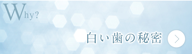 白い歯の秘密